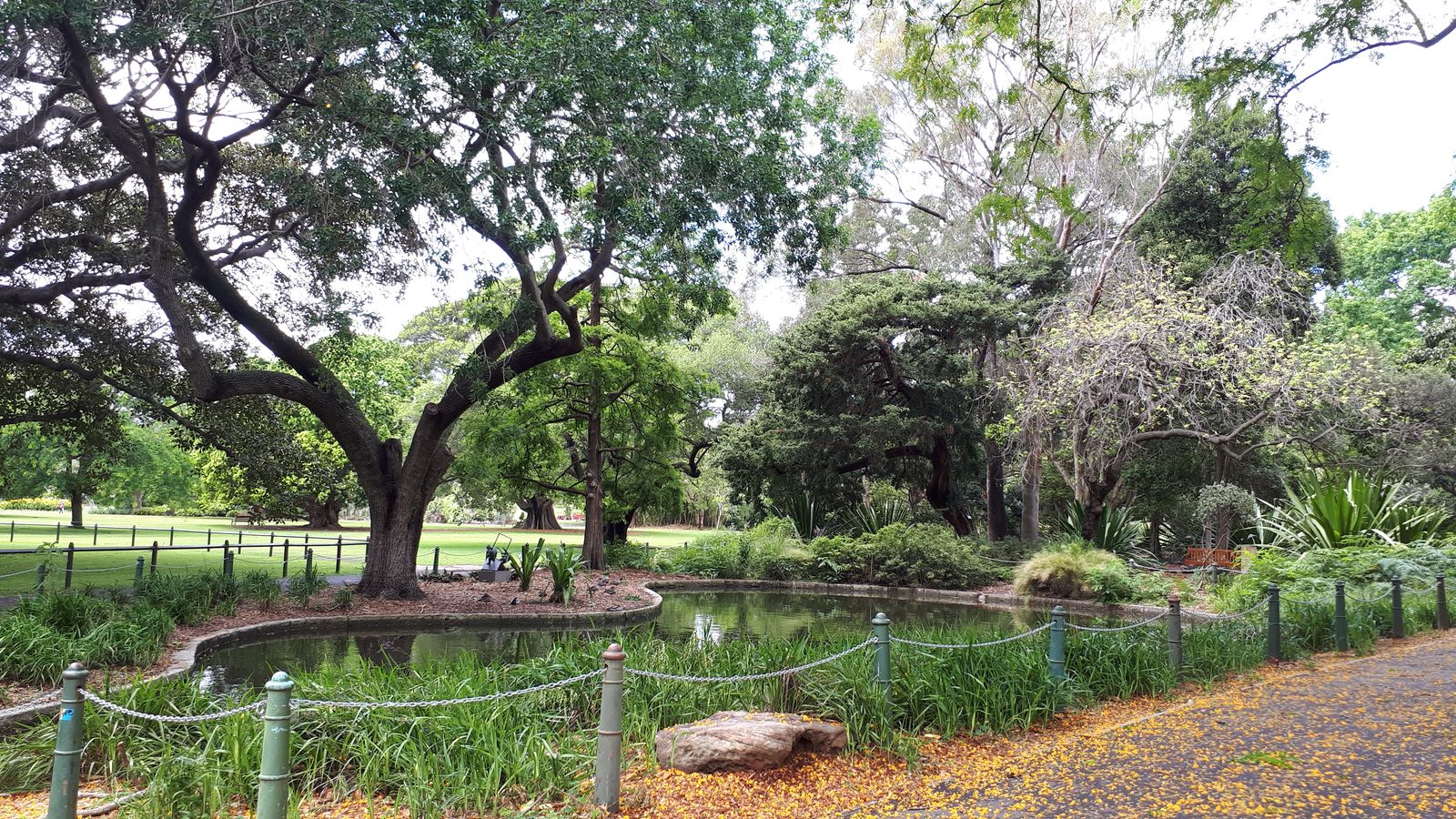 Royal Botanic Garden8.jpg