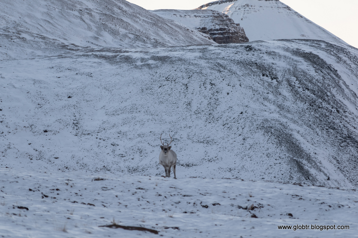 2021_10_Spitsbergen_330.jpg