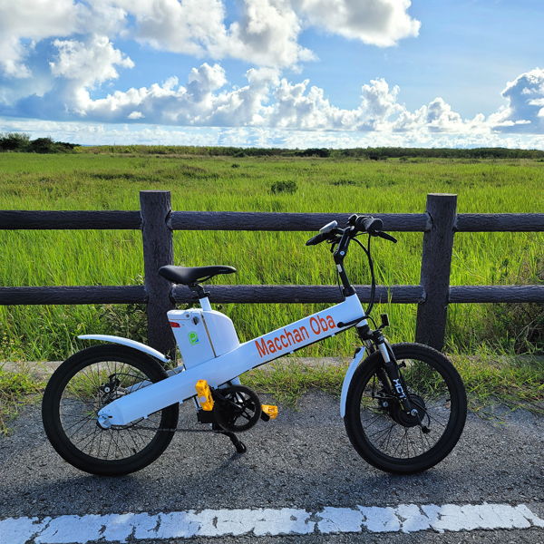 electric-bikex600.jpg