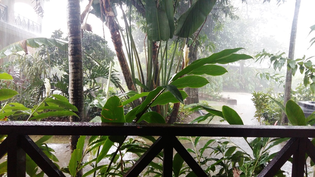 ogrod w deszczu 1.jpg
