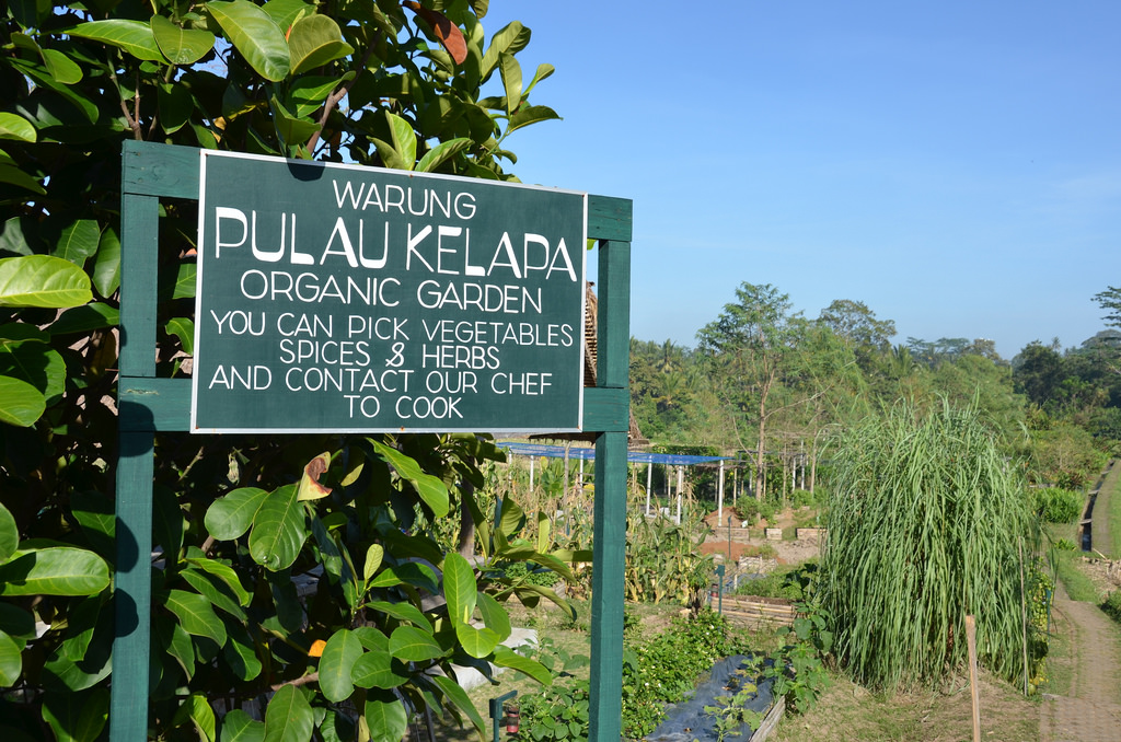 2bali
