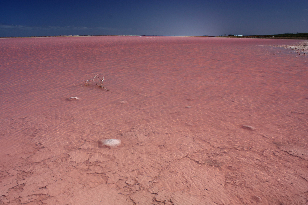 5-hutt-lagoon