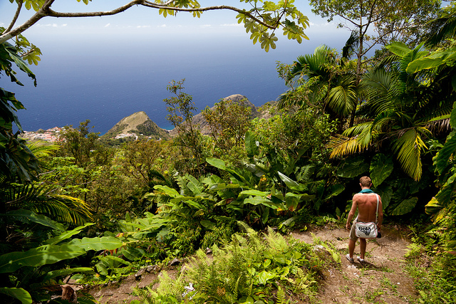 2. saba_killians_red