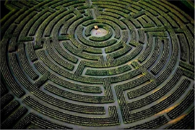 7-yannarthusbertrand2-org_