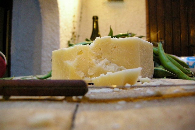 1. pecorino_Yellow_Cat