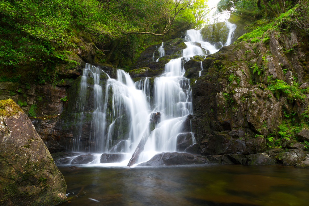 shutterstock_102738656