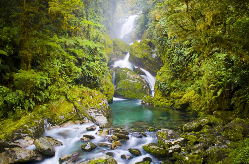 shutterstock_57458890