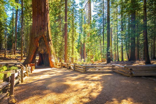 Yosemite