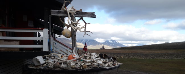 Okolice Longyearbyen
