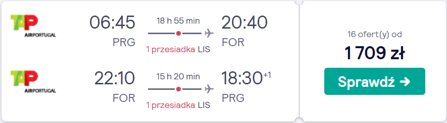 rezerwacja lotów