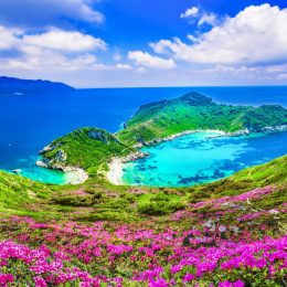 Najbardziej zielona wyspa Grecji 🇬🇷☀️ Majowa wycieczka na Korfu za 899 PLN (✈️+🏨)