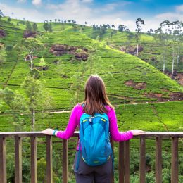 Święta i sylwester w Sri Lance 🌴 Czarterowe loty (z bagażem) i hotel ze śniadaniami za 2927 PLN 😎