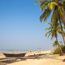 Wycieczka do Goa za 2618 PLN 🌴 Loty do Indii + 11 nocy w 4* hotelu ze śniadaniami 🇮🇳