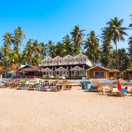 Zobacz rajską część Indii 😍 Wycieczka do Goa za 2721 PLN 🌴 Loty z bagażem + 11 nocy w 4* hotelu 🇮🇳