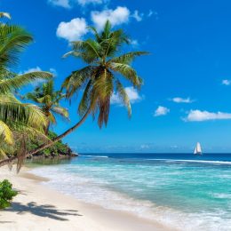 Karaiby w świetnej cenie ✈🔥 Jamajka od 1821 PLN ☀️🌴