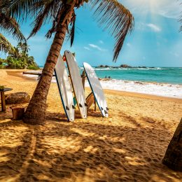Okazja❗ 11 dni w Sri Lance za 2939 PLN 👙🏖️✈️🧳 Loty z Warszawy i noclegi przy plaży 🤿🏄🌊