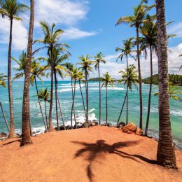 ✨Egzotyczny luksus w supercenie✨🌴 Loty do Sri Lanki i ⭐⭐⭐⭐hotel z prywatną plażą za 2820 PLN 😍