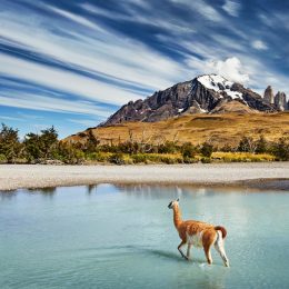 Niesamowite Chile 🏜️🏔️🗿 Bilety do Santiago z Wiednia od 2522 PLN ✈️🧳
