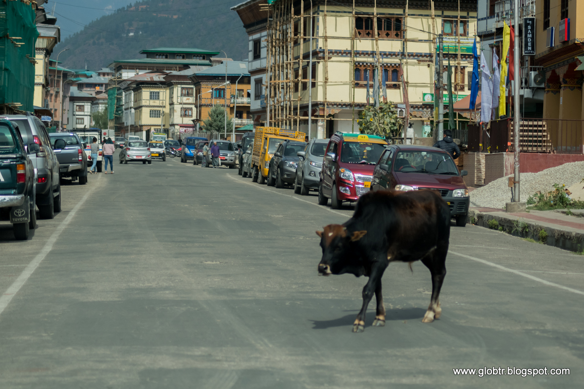 2018_10_Bhutan_002.jpg