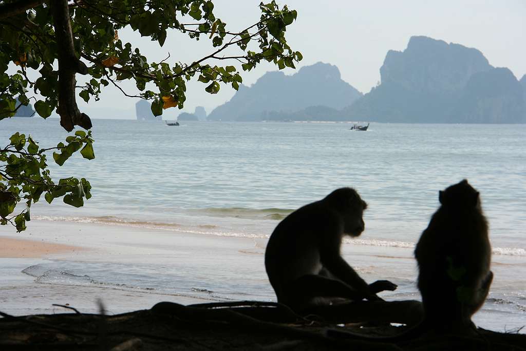 Ao_Nang (4).jpg