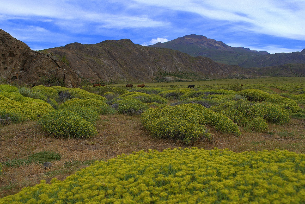 W DRODZE6, CARRETERA AUSTRAL.jpg