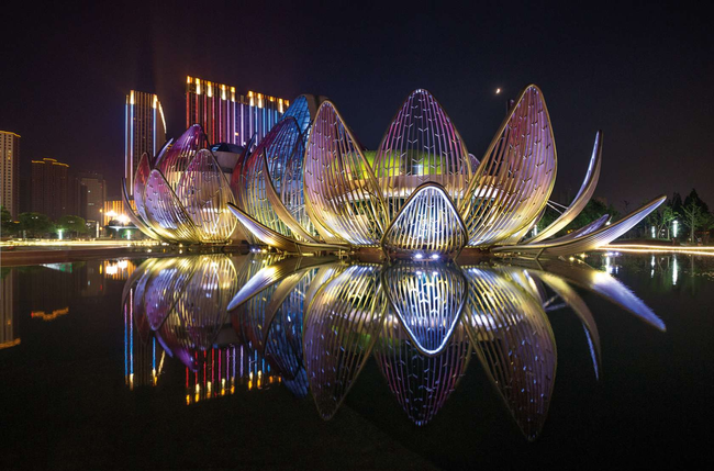 lotus