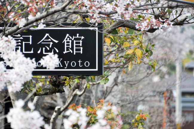 kioto