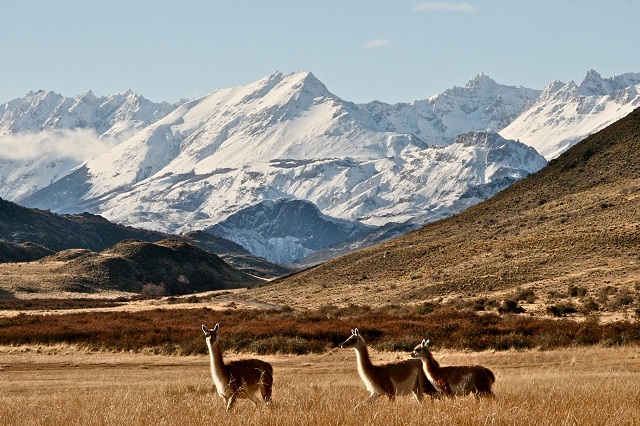 1. www.conservacionpatagonica_org