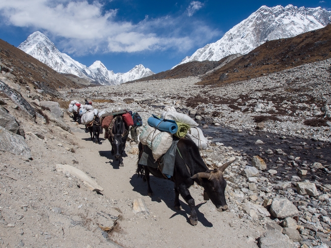 nepal2