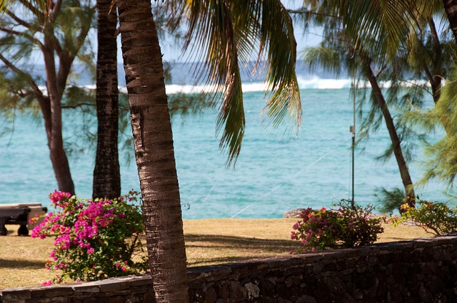 2. rodrigues_Giorgio Minguzzi