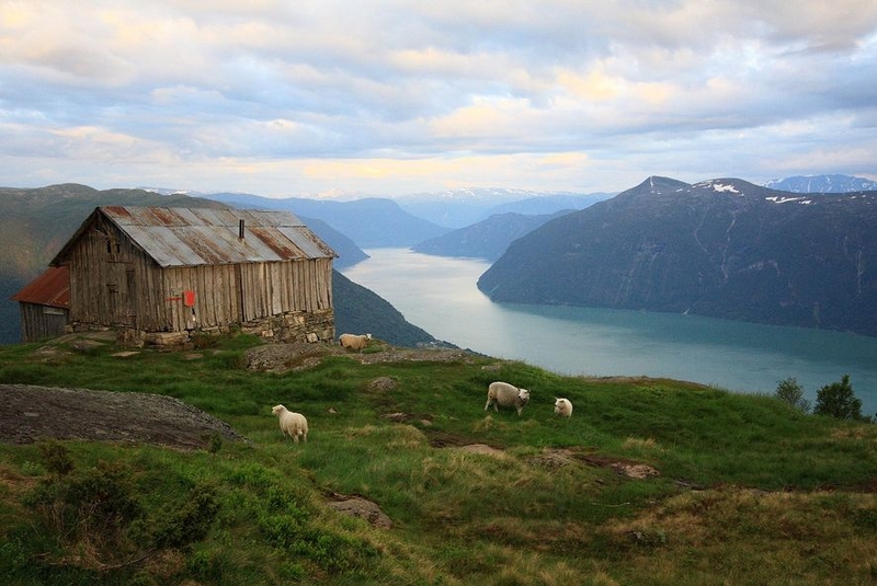 sognefjord