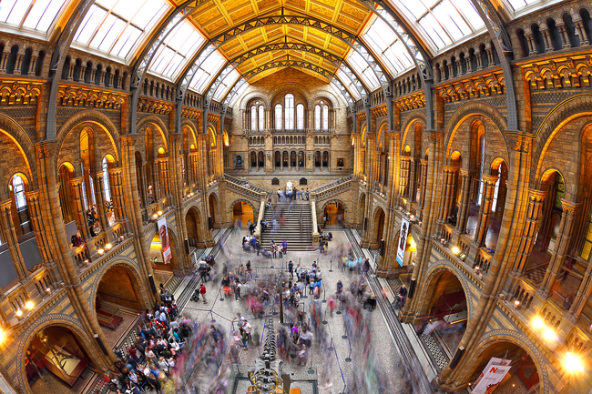 21. Natural History Museum Londyn_ Marc Blarnes flickr