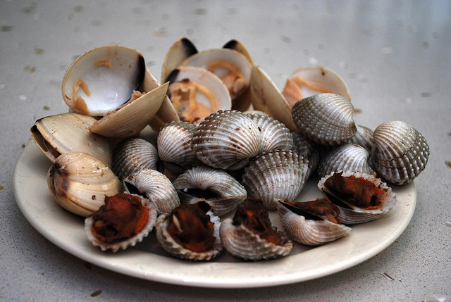 8-blood-clams_alpha
