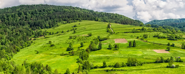 Czas na odpoczynek w górach. Pensjonat z wyżywieniem od 119 PLN za pokój