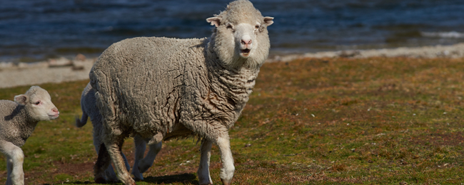 Oto 21 fascynujących ciekawostek ze świata. Sprawdźcie, czy o nich słyszeliście