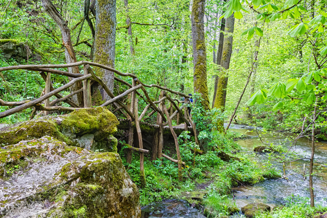 Weekend na łonie natury: zbiór noclegów przy Roztoczańskim Parku Narodowym od 185 PLN/pokój