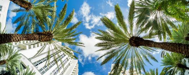 Tania przygoda w USA. Odwiedzicie Florydę, Nowy Jork i Chicago z Berlina za 1899 PLN