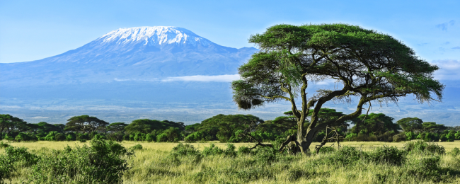 Tanie loty do Tanzanii: Dar es Salaam z Warszawy za 1667 PLN