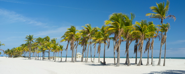 Super Sunday w Air Berlin. Loty z Berlina na Florydę od 1617 PLN