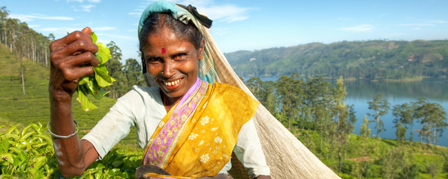 Bardzo tanie loty czarterowe na Sri Lankę za 1199 PLN!