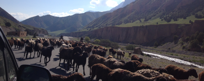 Coś poszło nie tak? Największe podróżnicze wpadki redakcji Fly4free i czytelników
