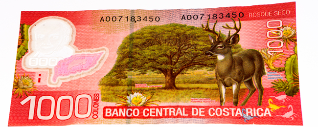 Zobacz najpiękniejsze banknoty świata. Miałeś je w swoim portfelu?