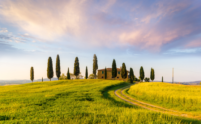 FotoliaNeckermann650