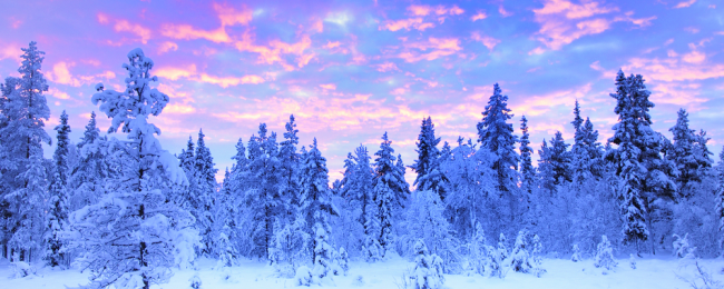 Jednodniówki w Szwecji (Nykoping) z Gdańska za 66 PLN