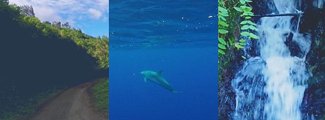 Sanki latem, delfiny i Cristiano Ronaldo. Gdzie Was zabieramy? (Premiera wideo)