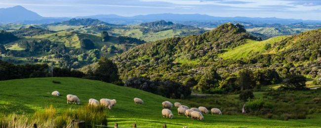 Dostaniesz fortunę, jeśli zdecydujesz się na przeprowadzkę do któregoś z tych pięknych miejsc!