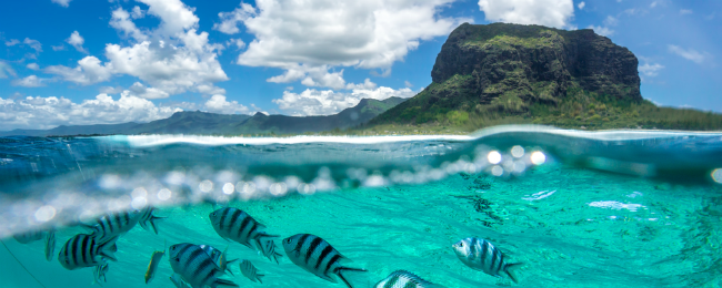 Loty na Mauritius z Warszawy od 1699 PLN