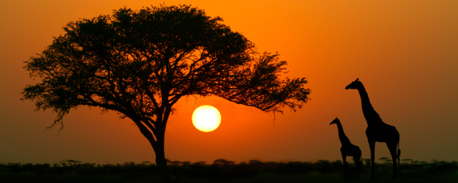 HIT! Tanie loty do Kenii z Warszawy za 999 PLN