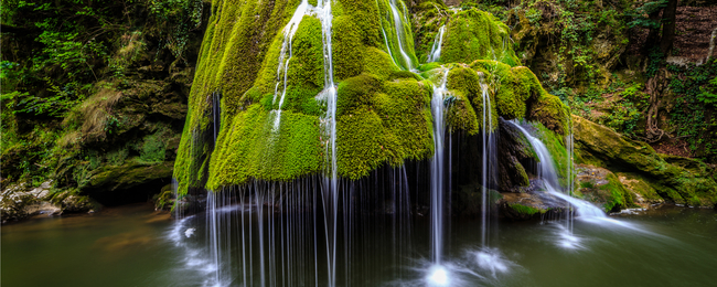 Tanie loty do Rumunii. Timisoara z Berlina za 38 PLN