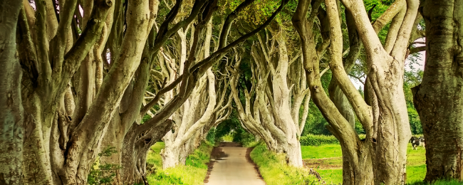 Leć do Irlandii Północnej. Bilety do Belfastu z Katowic od 88 PLN